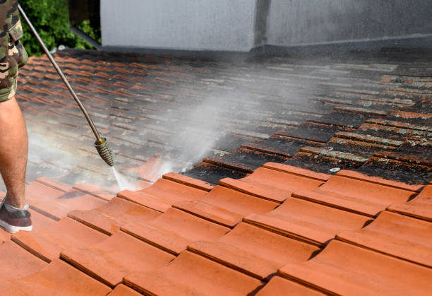 Best Affordable Pressure Washing  in Valinda, CA